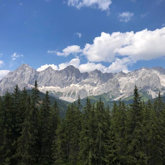 Family Appartment - Dachstein View ラムサウ・アム・ダッハシュタイン エクステリア 写真