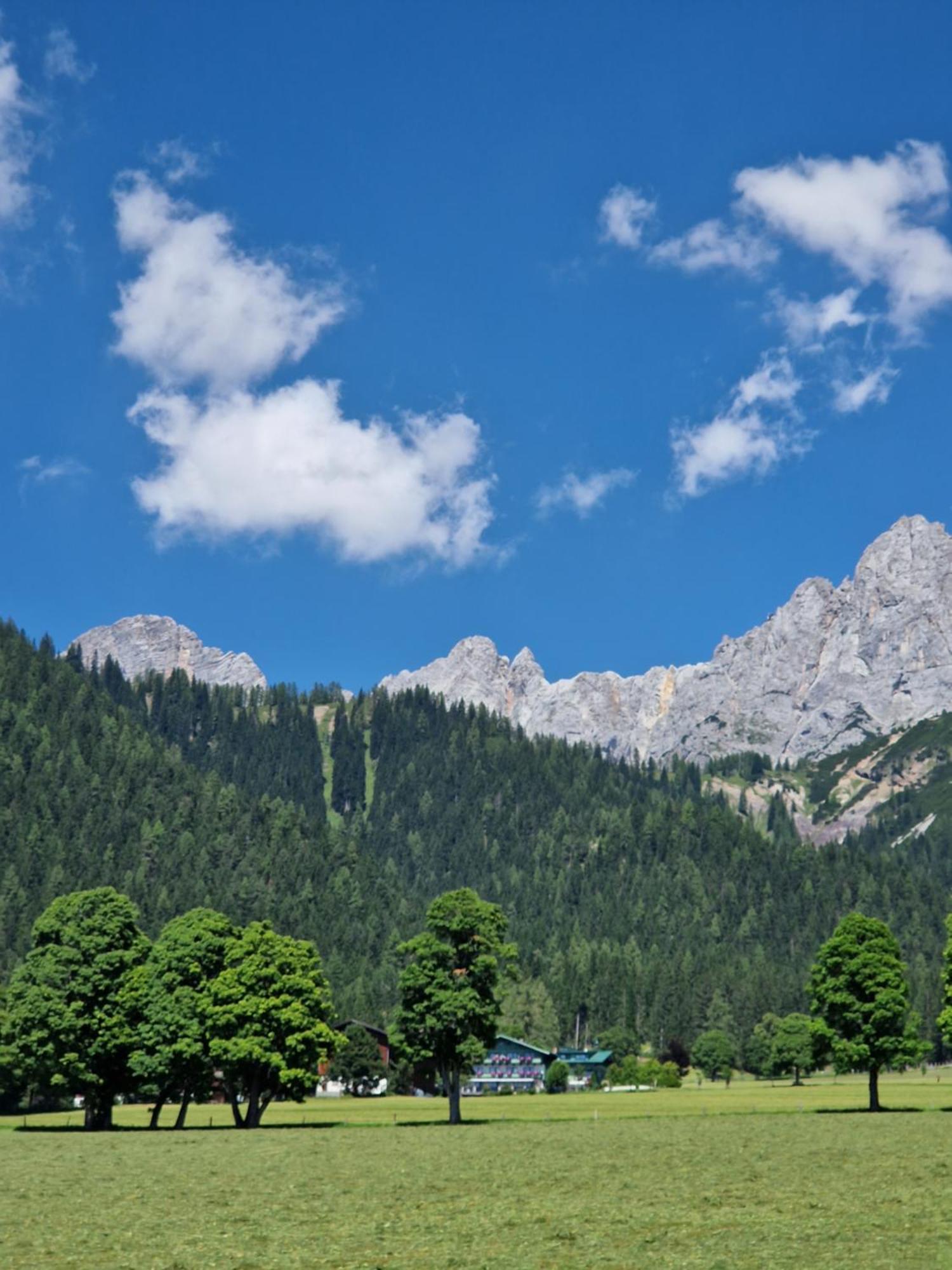 Family Appartment - Dachstein View ラムサウ・アム・ダッハシュタイン エクステリア 写真